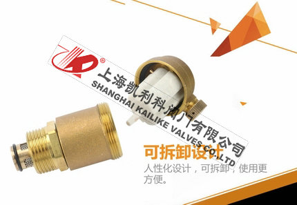 AVAX自动排气阀可拆卸设计