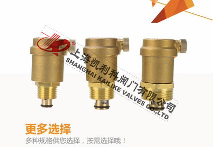 AVAX自动排气阀选择